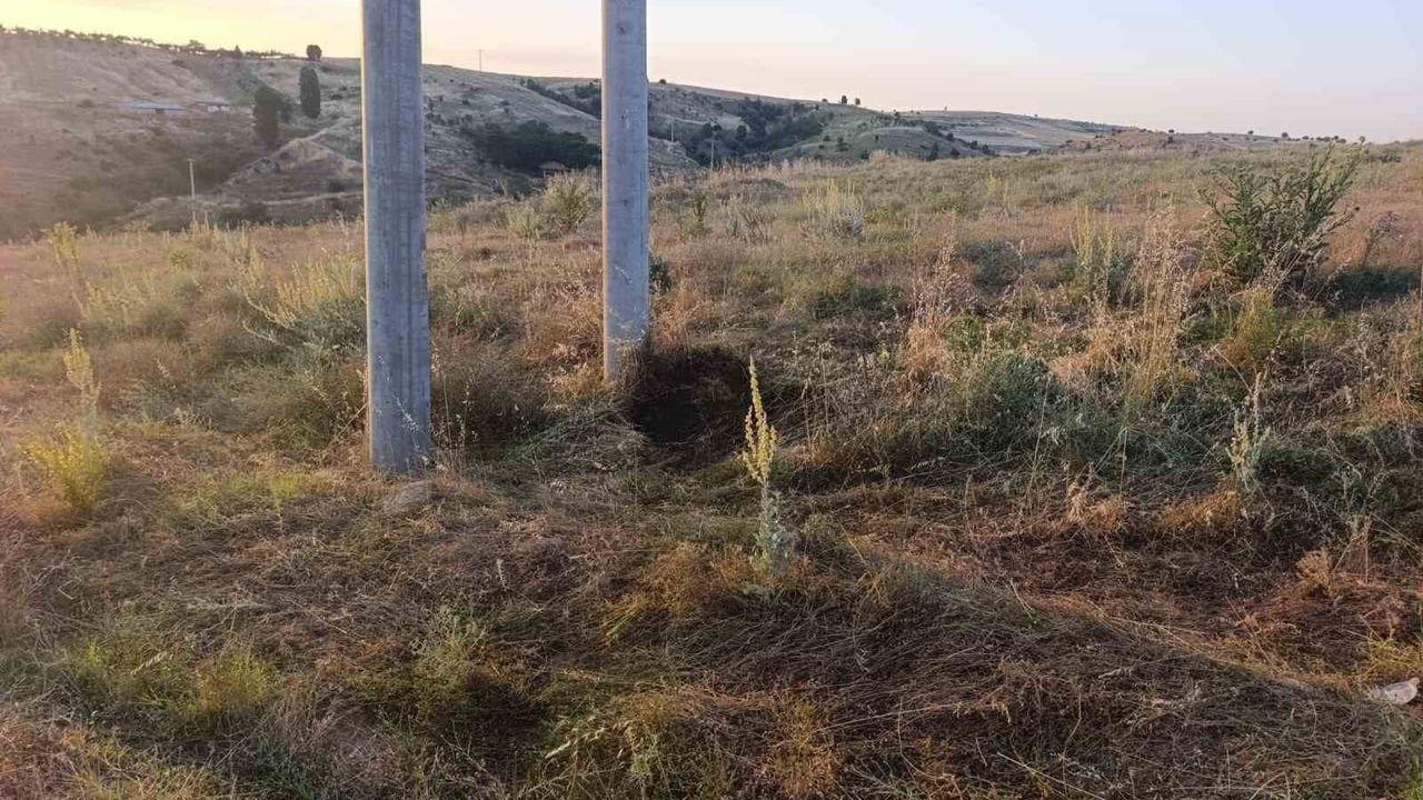 Bilecik'te elektrik akımına kapılan kuş yangına neden oldu