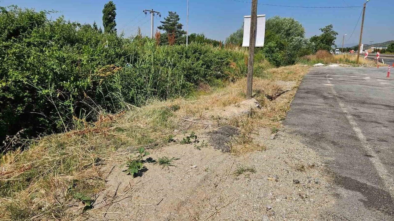 Bilecik'te jandarma poşet poşet çöp topladı