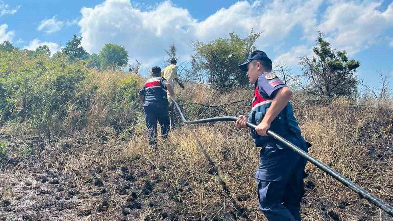Bilecik'te rüzgârın etkisiyle büyüyen otluk yangını ekipler kontrol altına aldı