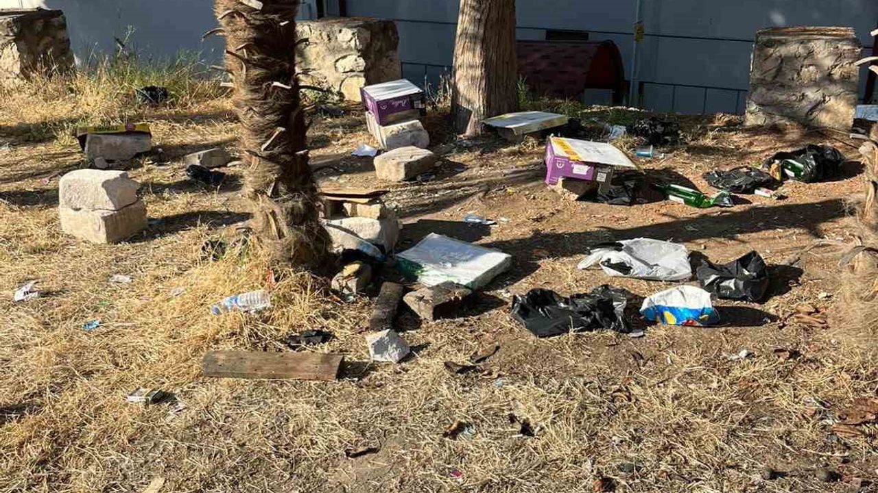 Bilecik'te üç kurumun ortasındaki ağaçlık geceleyin alkol ve çöp meskeni oldu