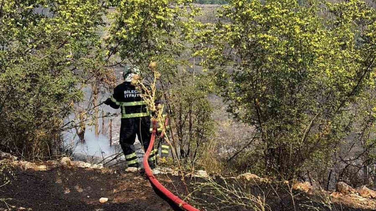Bilecik'te YHT hattı yakınında çıkan otluk yangını kısa sürede söndürüldü