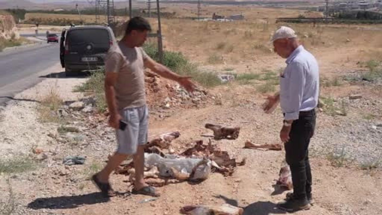Bilek köyü mevkiinde yol kenarına bırakılan at kemikleri tepkilere neden oldu