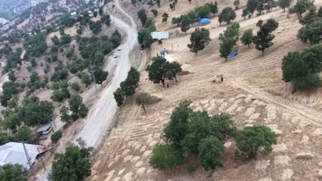 Bin 200 rakımlı Toros köylerinde imeceyle hasat sürüyor