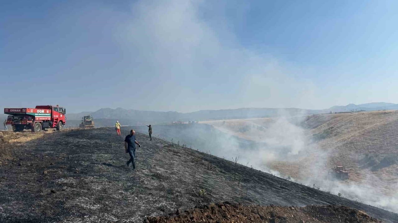 Bingöl'de arazi yangını: bin dönüm buğday tarlası küle döndü