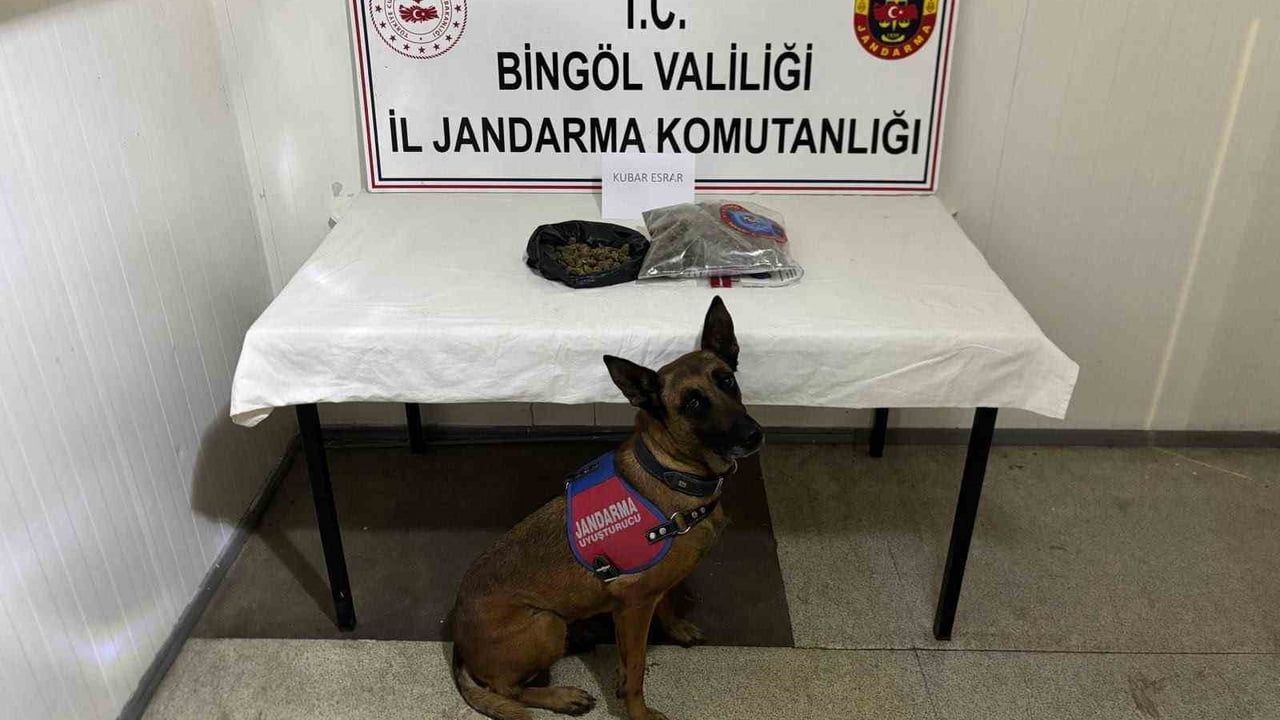 Bingöl'de kesinleşmiş hapis cezası bulunan 4 zanlı tutuklandı
