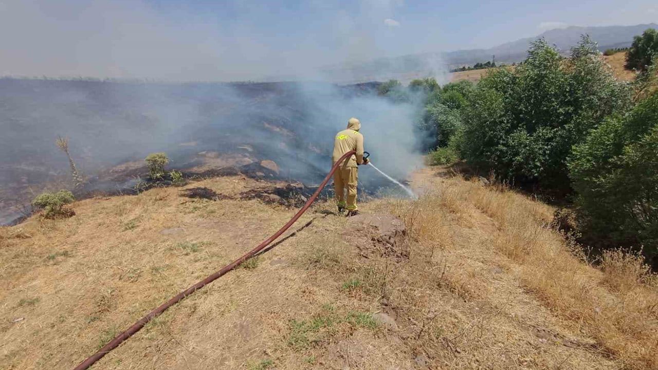 Bingöl'de kırsal alanlarda çıkan beş yangın itfaiye ve orman ekipleriyle kontrol altına alındı