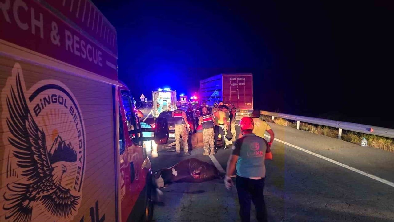 Bingöl’de otomobil ineklere çarptı: 2 kişi yaralandı