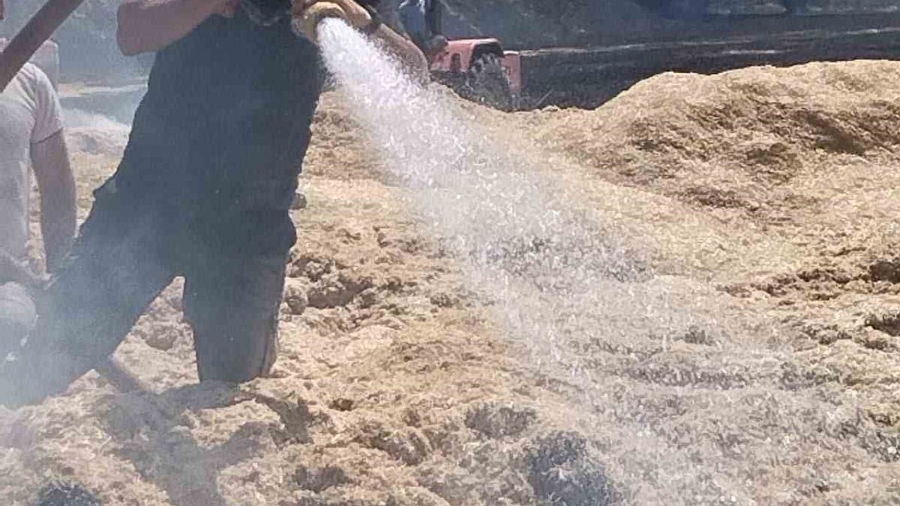 Bingöl kırsalında alevler rüzgârla yayıldı: 2 bin dönümden fazla alan zarar gördü