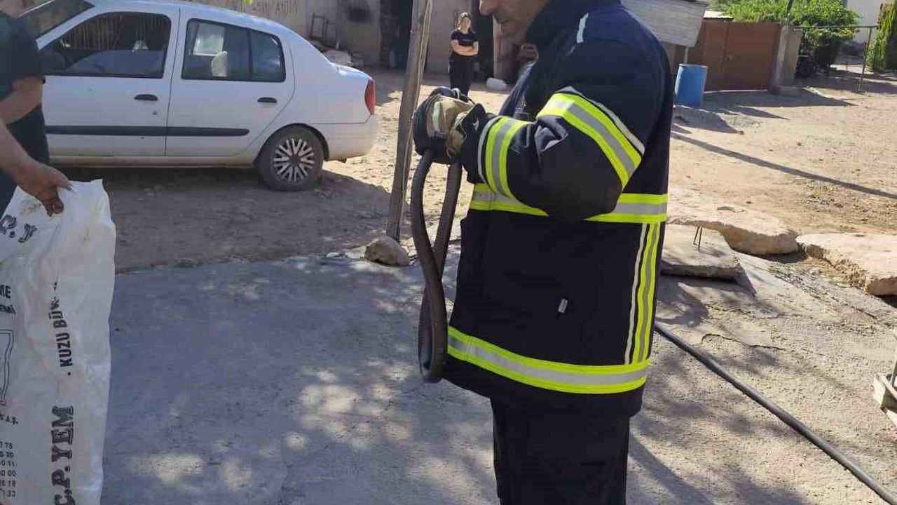 Bismil'de yatak odasında görülen iki metrelik yılan doğal yaşam alanına bırakıldı