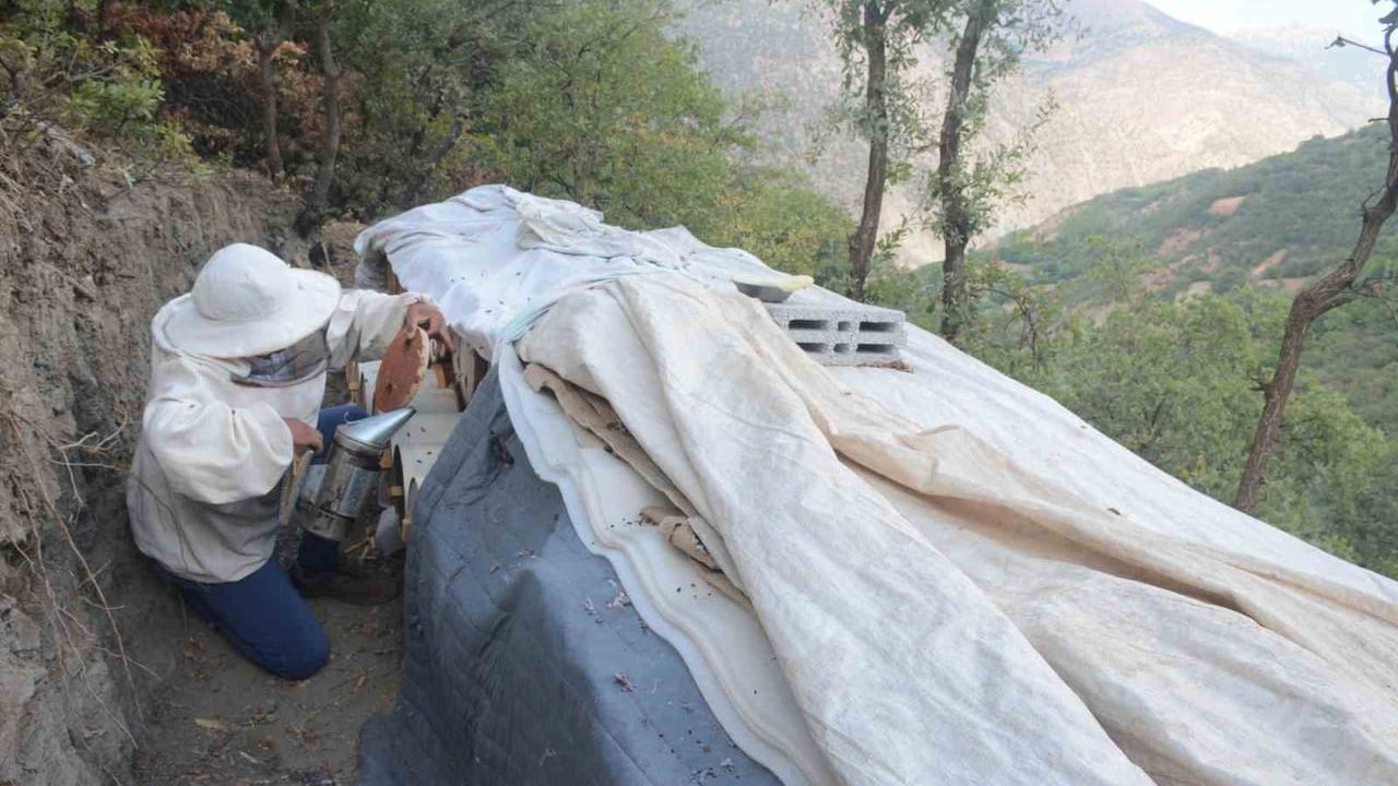 Bitlis’in ödüllü Hizan karakovan balı NATO Zirvesi menüsünde