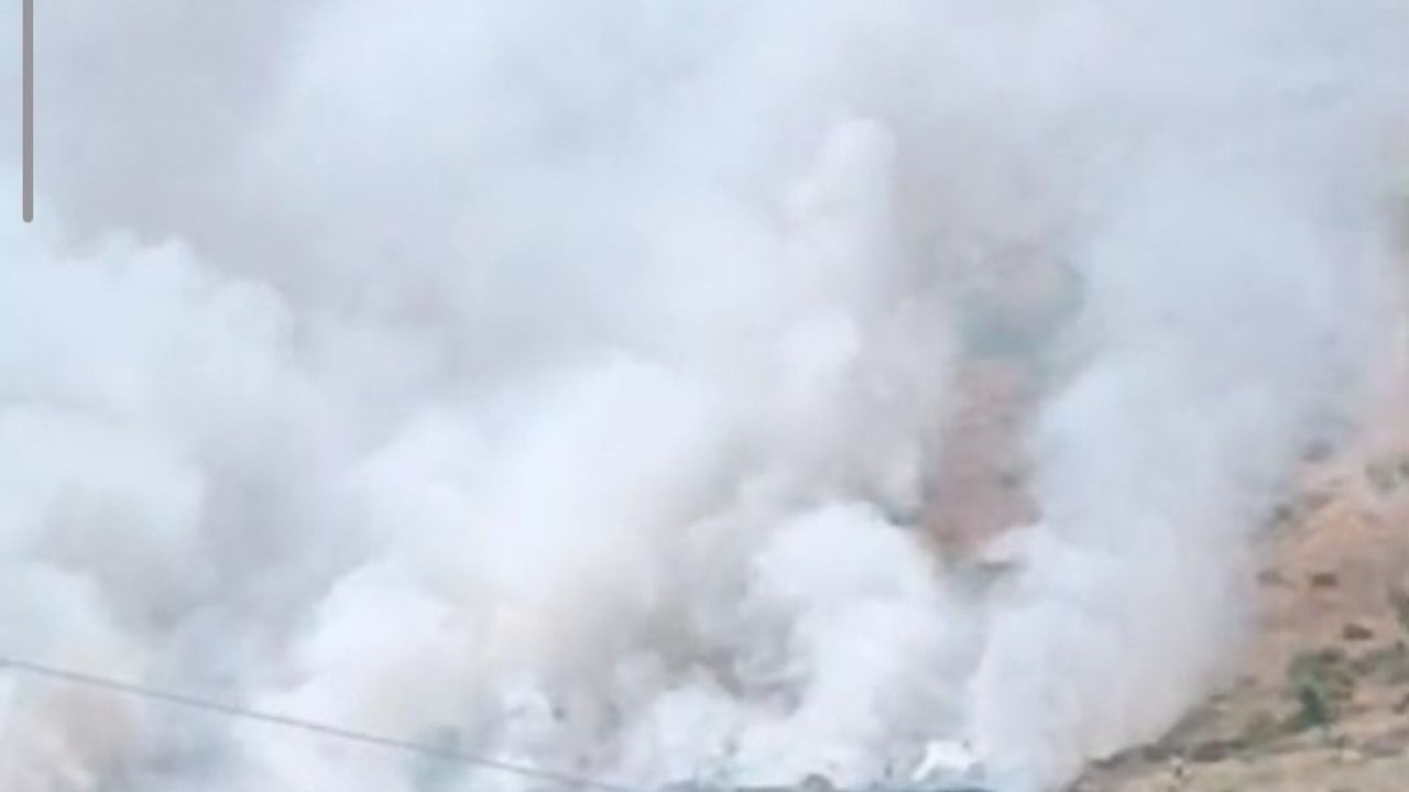Bitlis’te dağlık alanda yangın: binlerce arı telef oldu