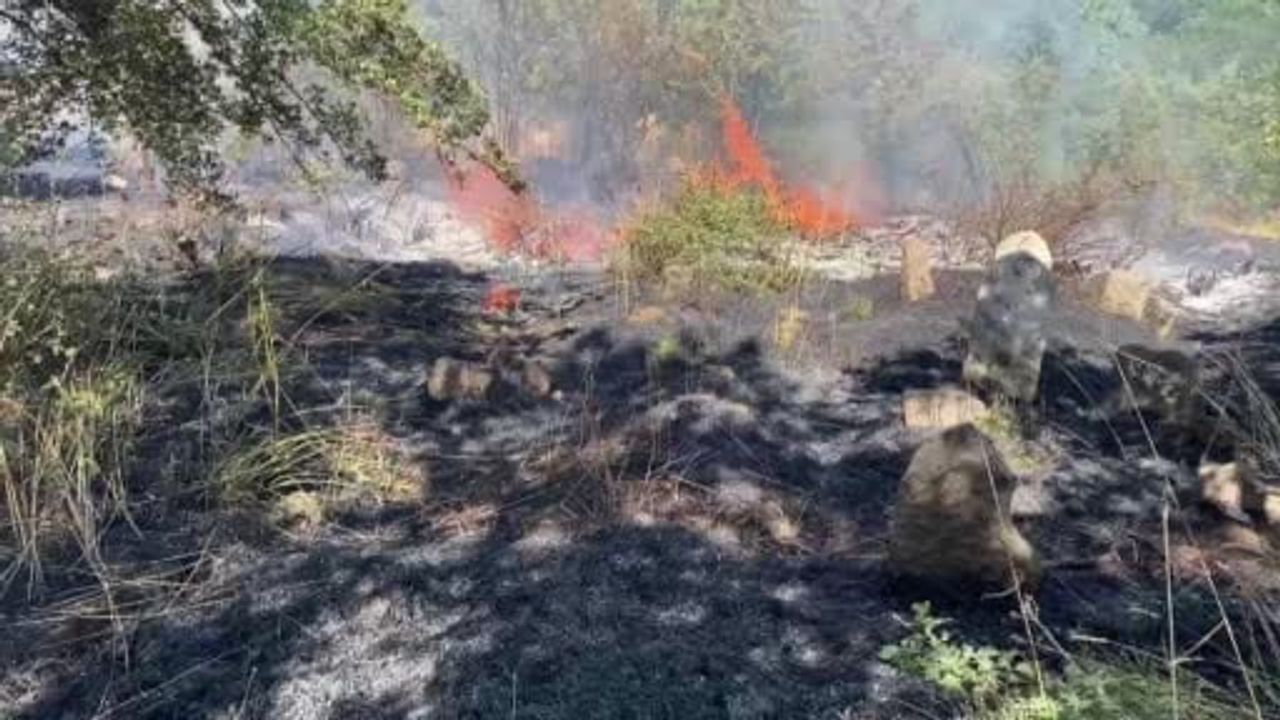 Bitlis'te peş peşe çıkan yangınlar kentte endişe yarattı