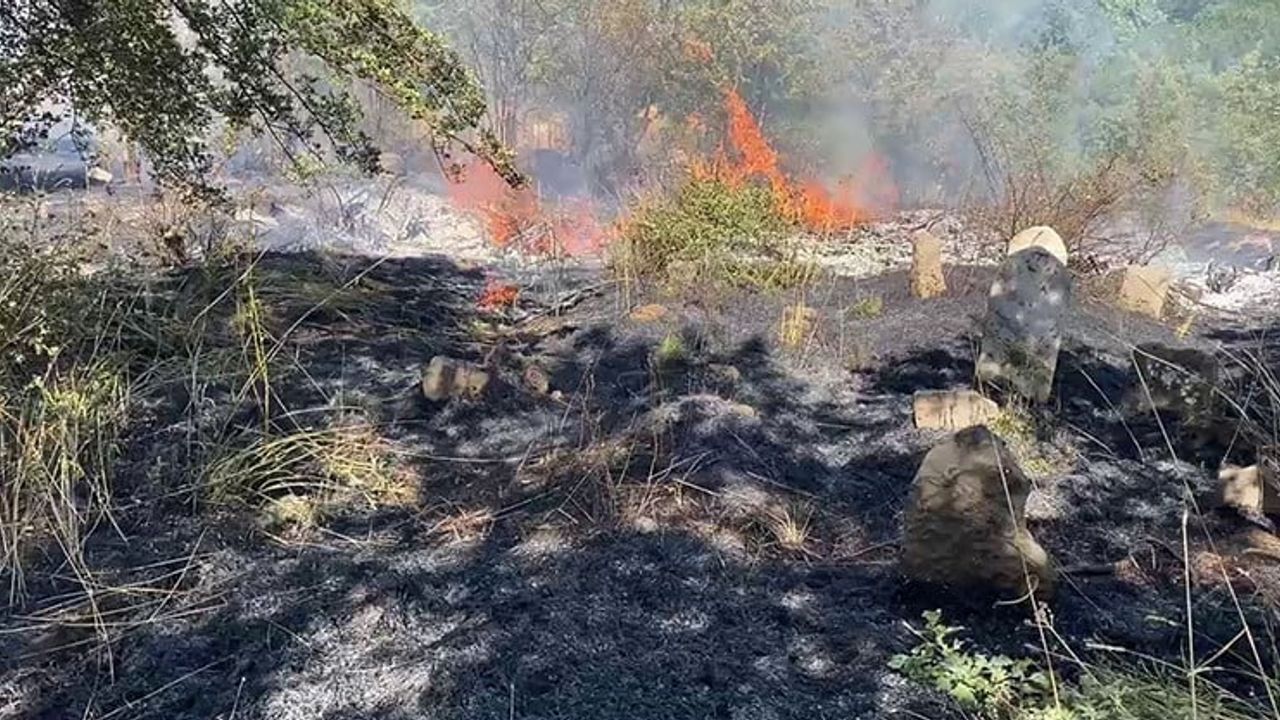 Bitlis’te peş peşe çıkan yangınlar kentte endişe yarattı