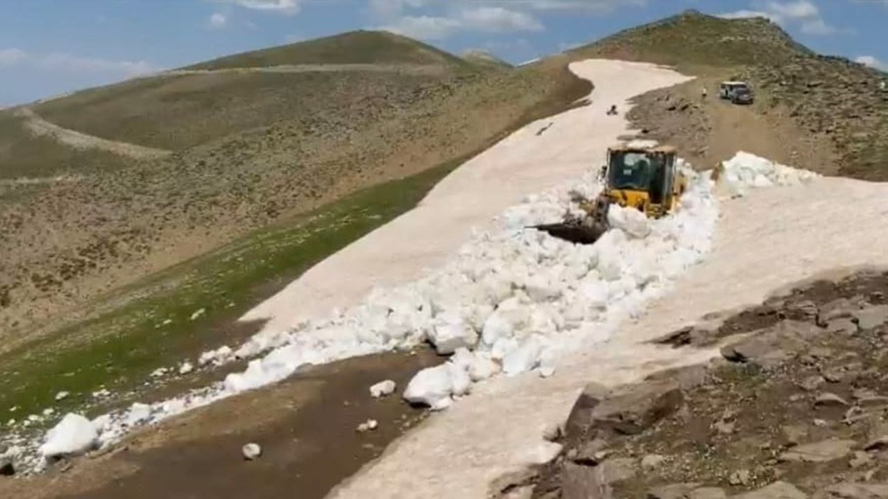 Bitlis'te temmuzda karla mücadele sürüyor