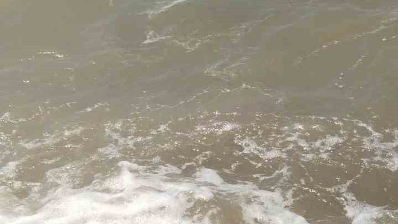 Bodrum'da deniz kirliliği nedeniyle başsavcılık soruşturma başlattı
