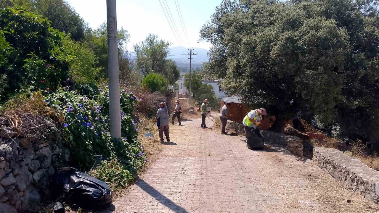 Bodrum’da ot temizliği çalışmaları haziran boyunca sürdü