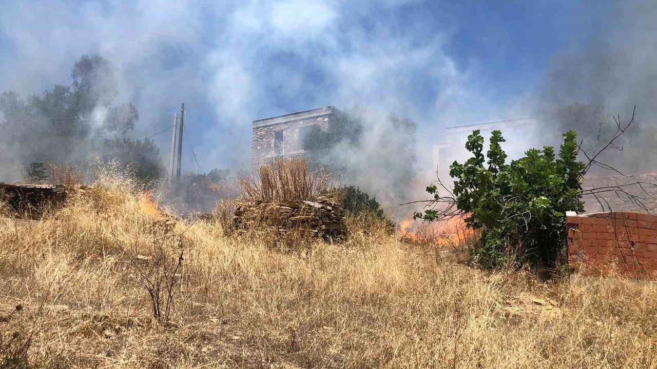 Bodrum'da rüzgarın büyüttüğü yangın ekiplerin müdahalesiyle bir saatte söndürüldü