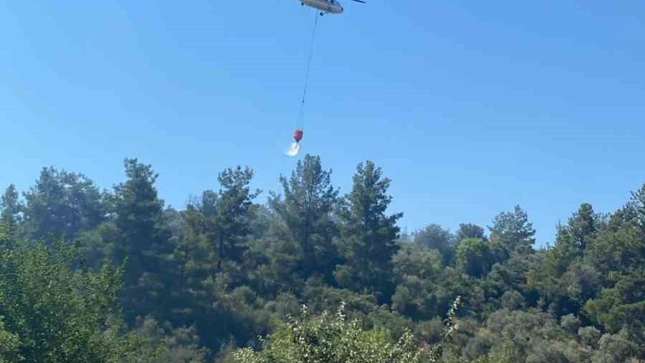 Bodrum'da yerleşim yerlerine yakın makilik yangını kontrol altına alındı
