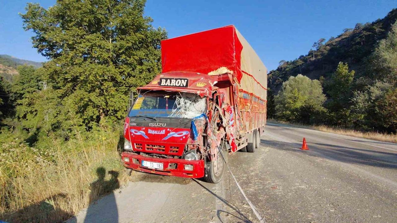 Bolu'da iki kamyon kafa kafaya çarpıştı: samanlar yola saçıldı, 2 yaralı