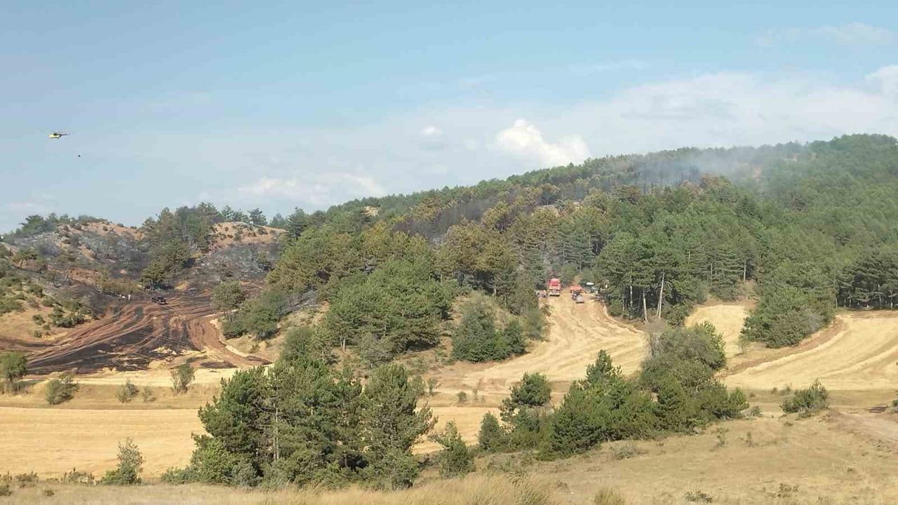 Bolu'da ormanlara giriş 30 Eylül'e kadar yasaklandı
