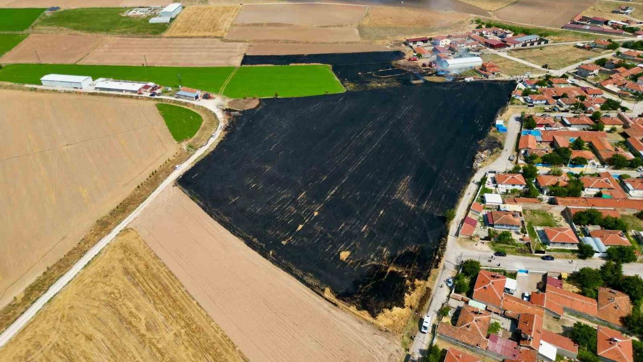 Bolvadin'de 45 dekar buğday tarlası küle döndü