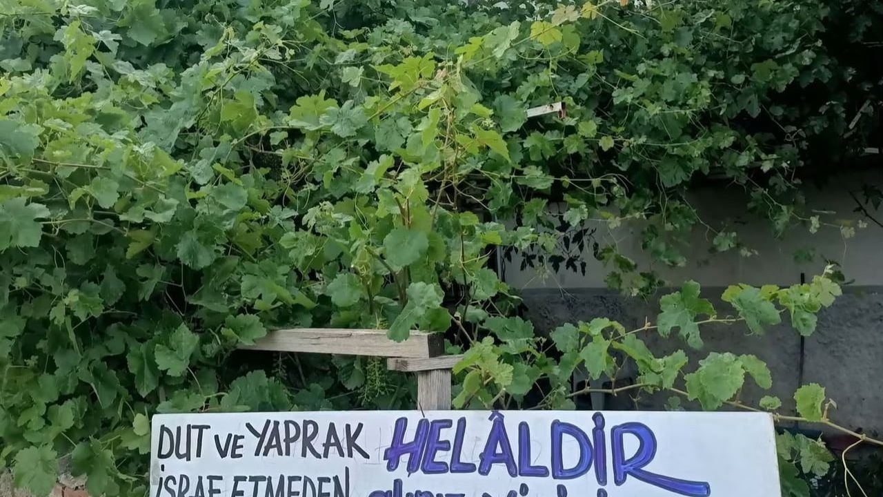 Bolvadin'de eski belediye başkanının bahçe duvarına astığı yazı ilgi gördü