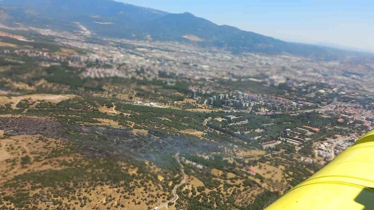 Bornova'daki orman yangını ekiplerin müdahalesiyle kontrol altına alındı