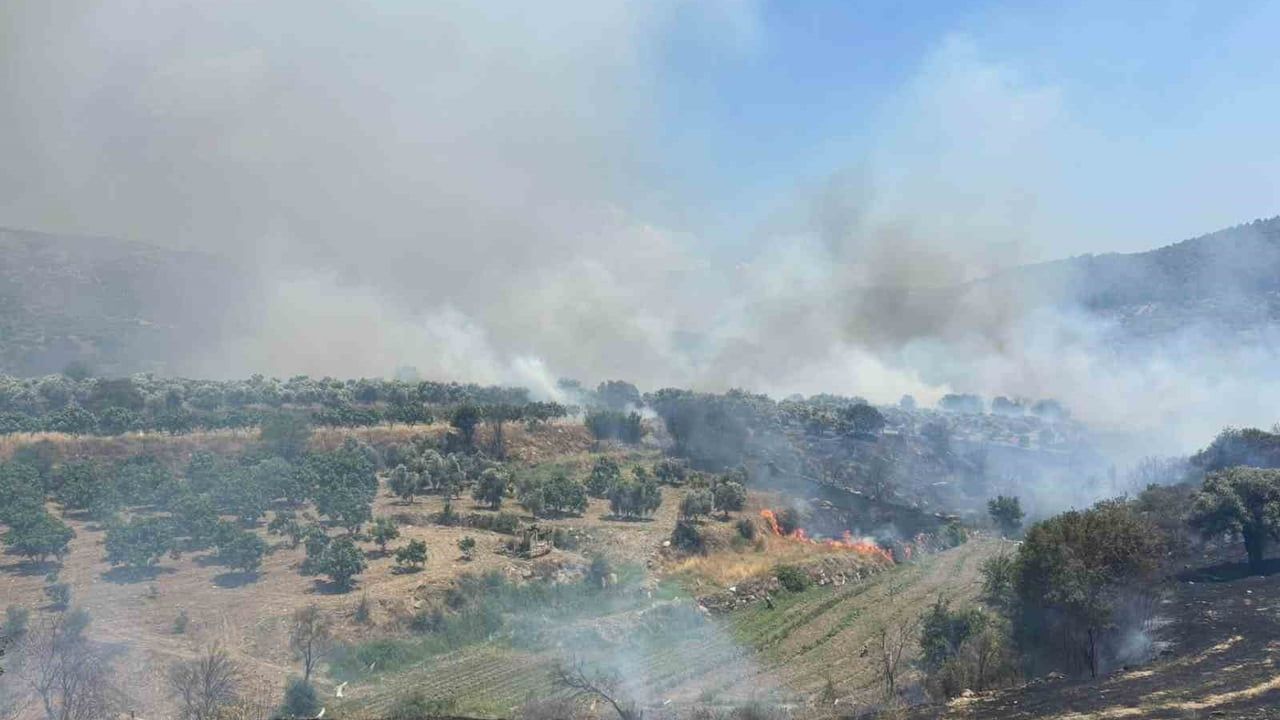Bozdoğan Belediyesi'nden yangın bölgesine su tankeri desteği çağrısı