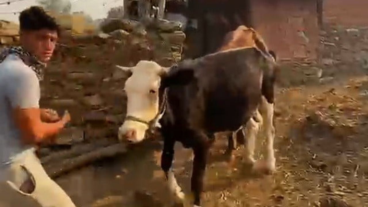 Bozdoğan’da tahliye başladı, alevler sınıra dayandı
