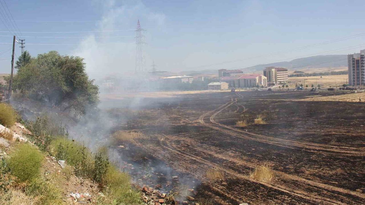 Buğday tarlasında çıkan yangın Zara'da 80 dönümü kül etti, duman zincirleme kazaya yol açtı