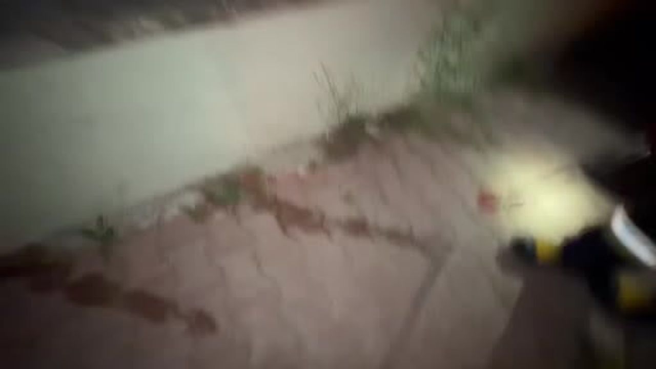 Burdur’da cami yanında yakalanan yılan doğal yaşam alanına salındı
