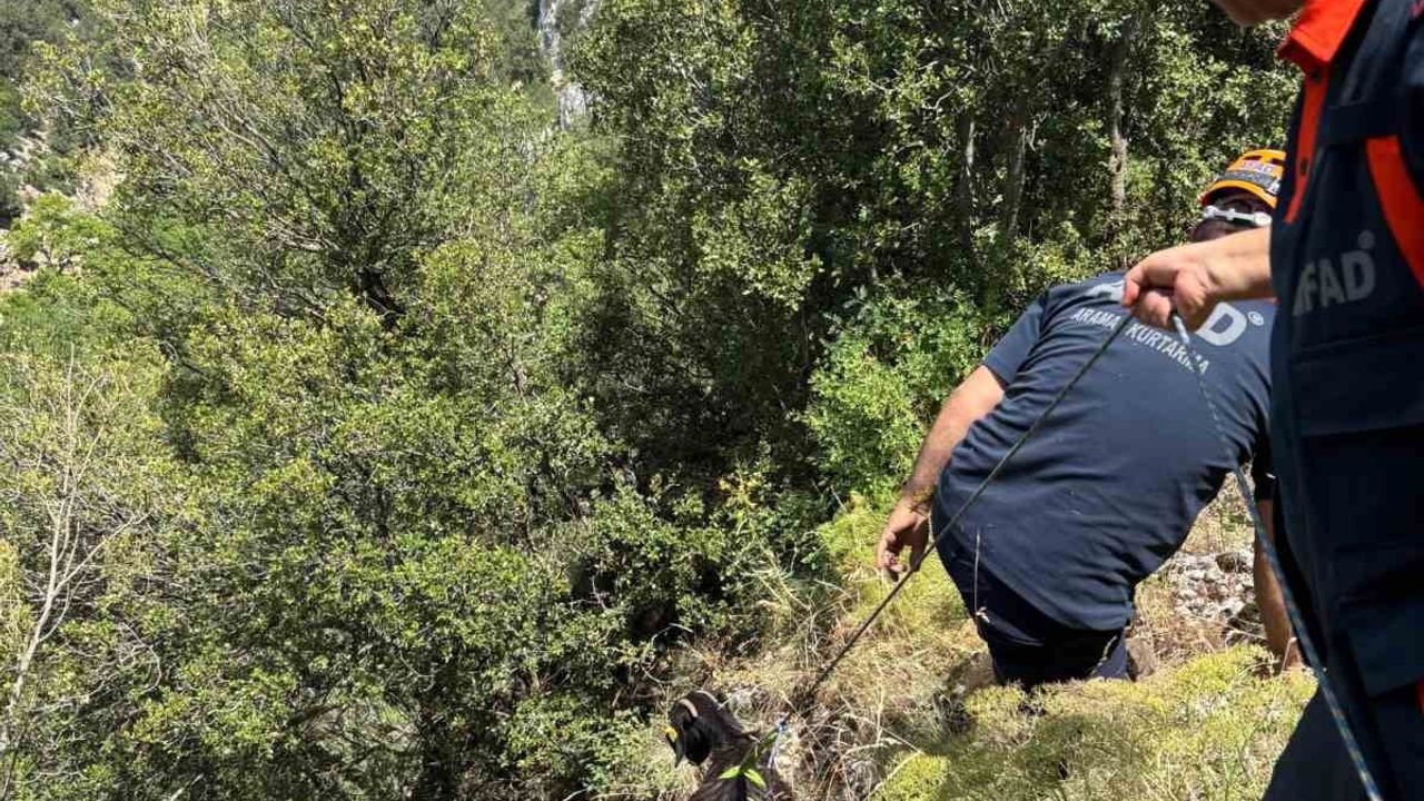 Burdur'da dağlık alanda mahsur kalan keçiler kurtarıldı