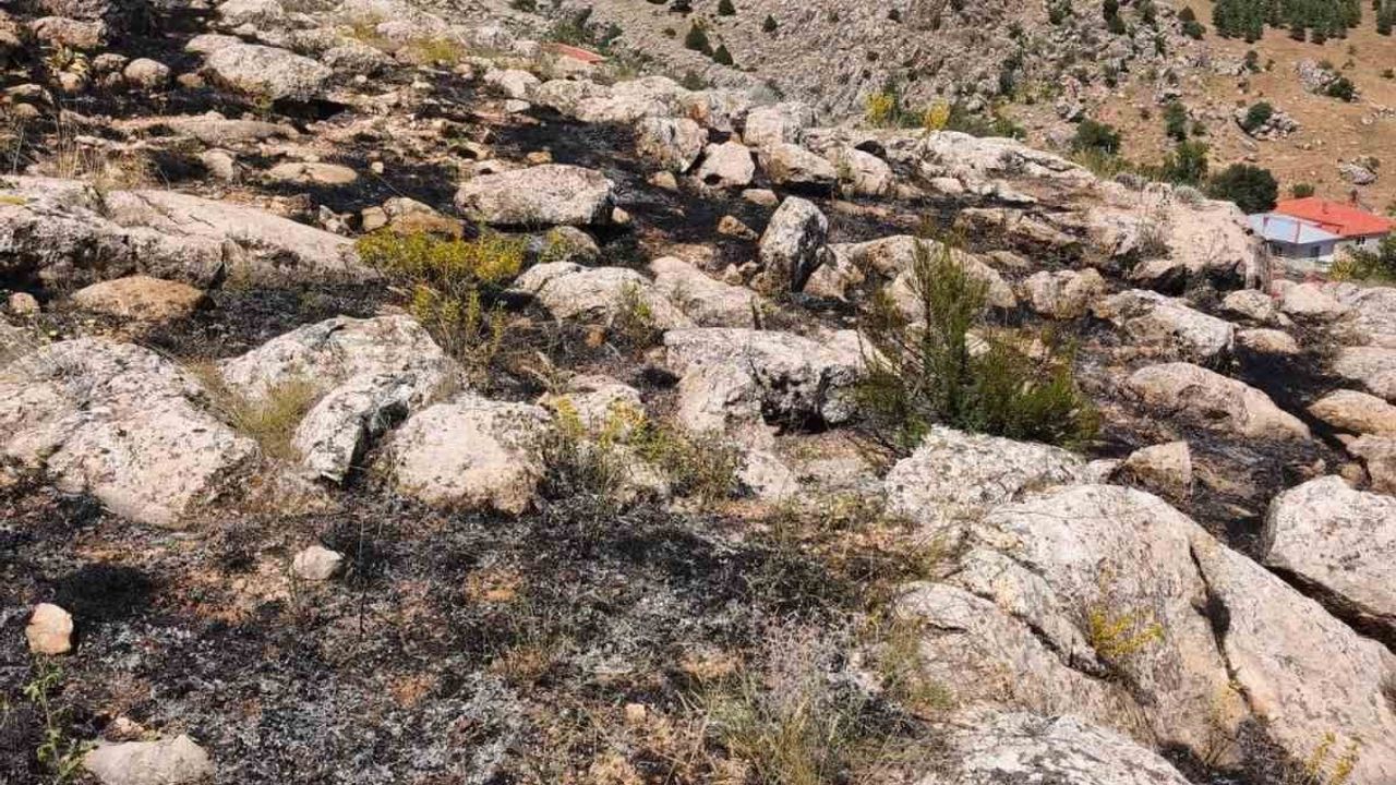 Burdur'da orman yangını büyümeden söndürüldü