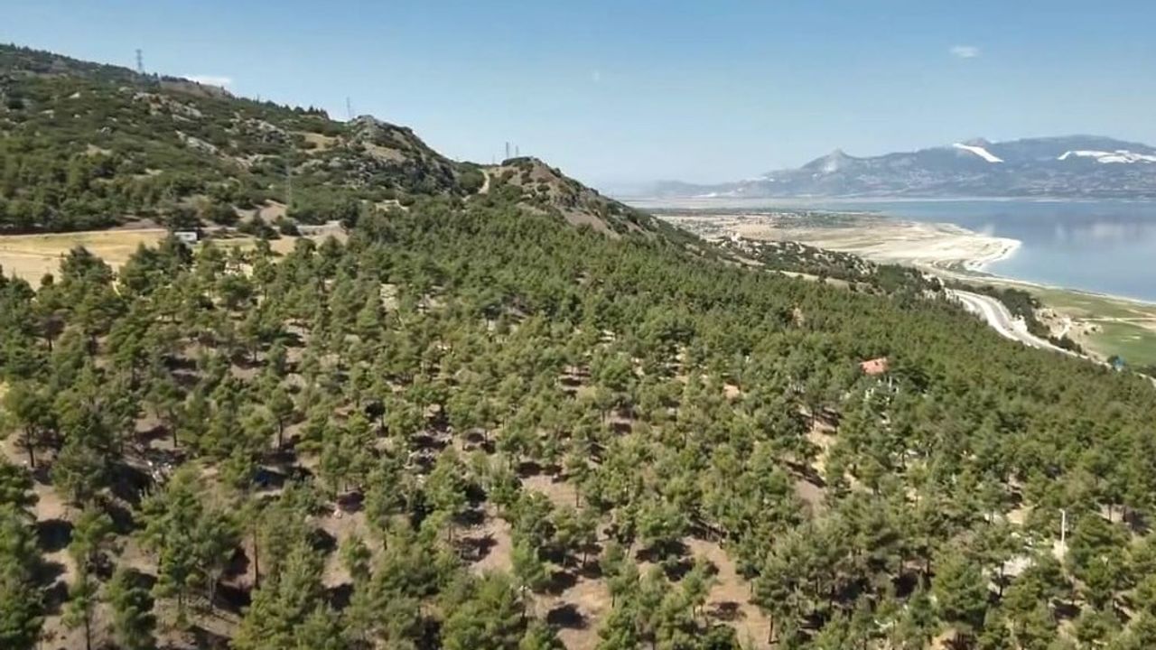 Burdur'da ormanlar dronla havadan denetleniyor