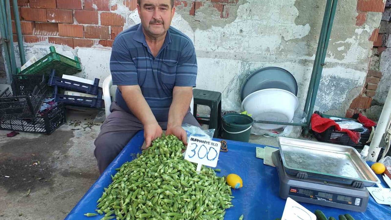 Burhaniye'de bamya fiyatları üreticinin gelirini artırdı