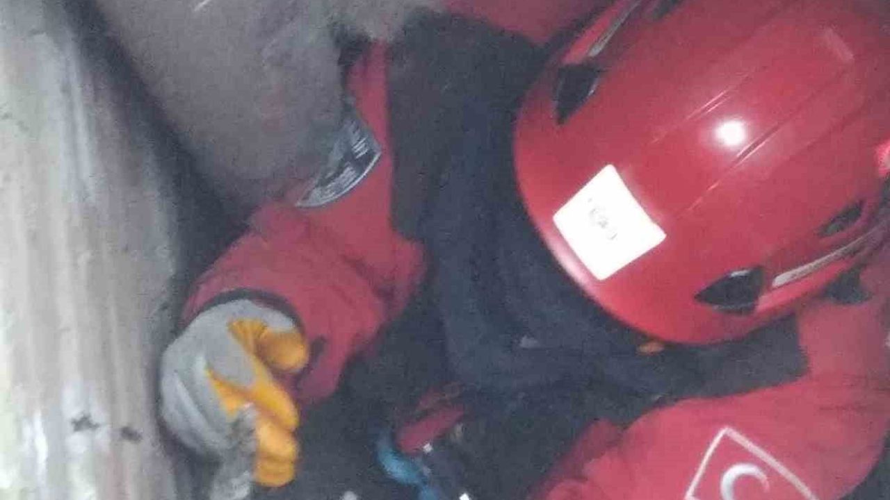 Burhaniye'de havalandırma borusunda sıkışan kediler itfaiye tarafından kurtarıldı