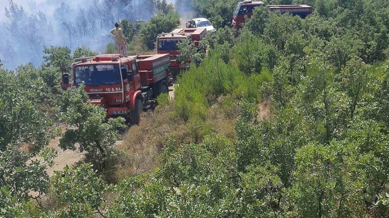 Burhaniye'de orman yangını kontrol altına alındı