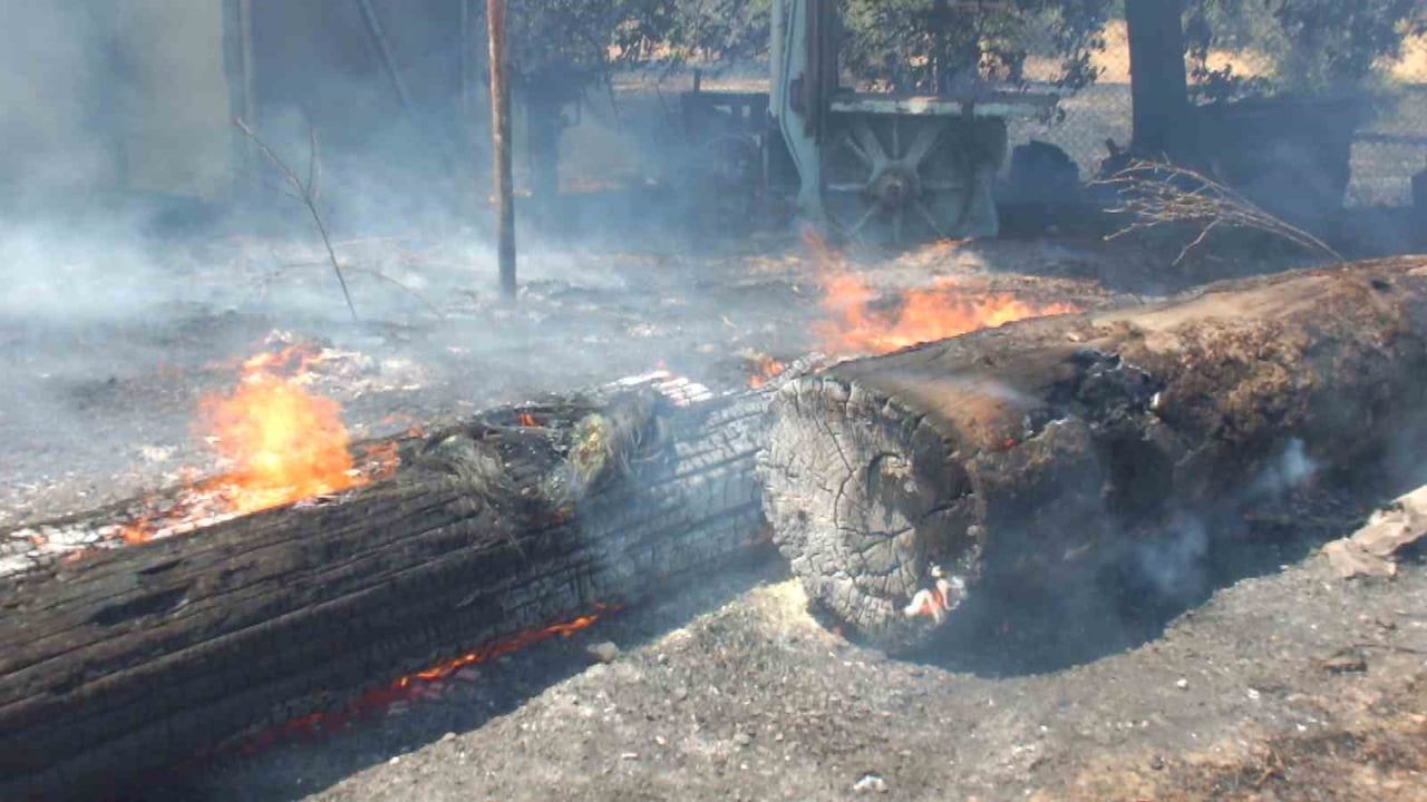 Burhaniye'de rüzgarla yayılan ot yangını zeytinlik ve karakolu tehdit etti