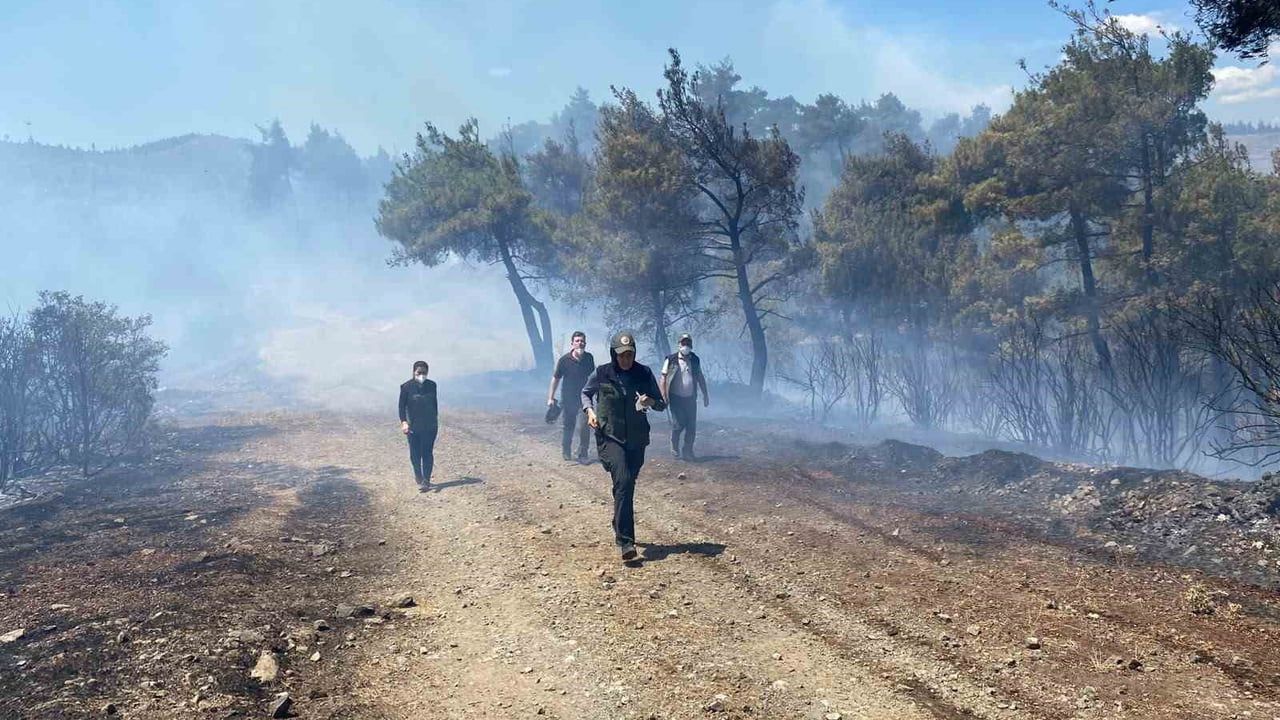 Bursa'da orman yangını söndürüldü, soğutma çalışmaları sürüyor