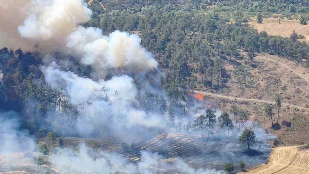 Bursa'da otluk yangını ormana sıçradı