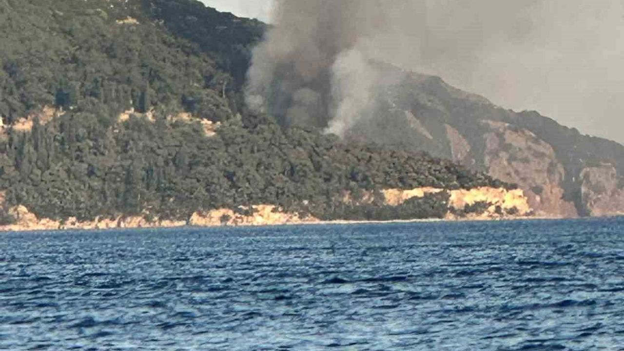 Büyükada'da Viranbağ Plajı'nda yangın çıktı