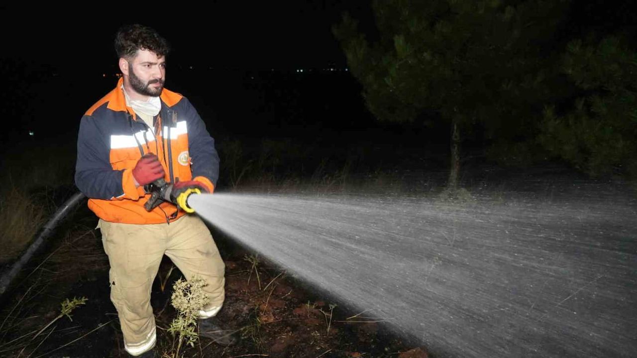 çam ormanlarında kıvılcım paniği: kuşların çarptığı hat yangını büyümeden söndürdü