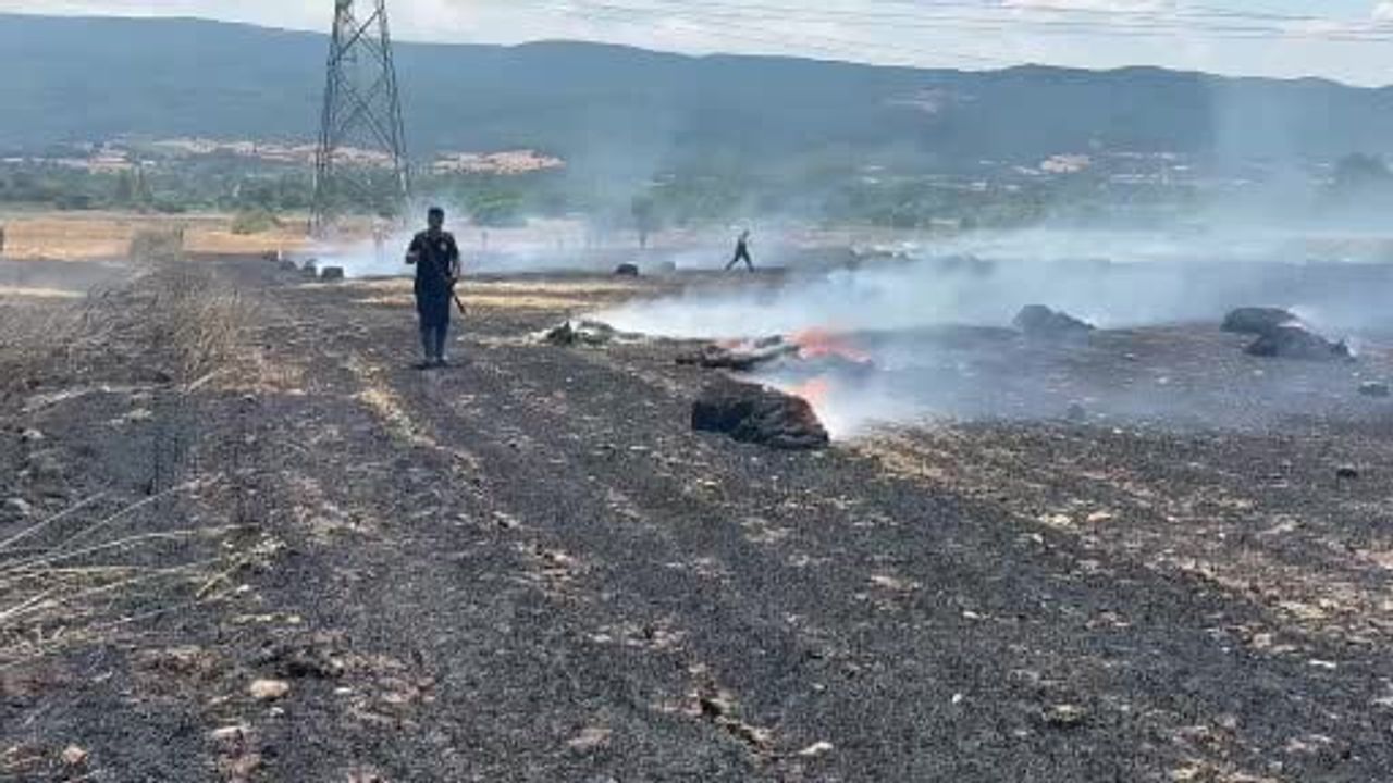 Çan’da tarım arazisinde çıkan yangın söndürüldü