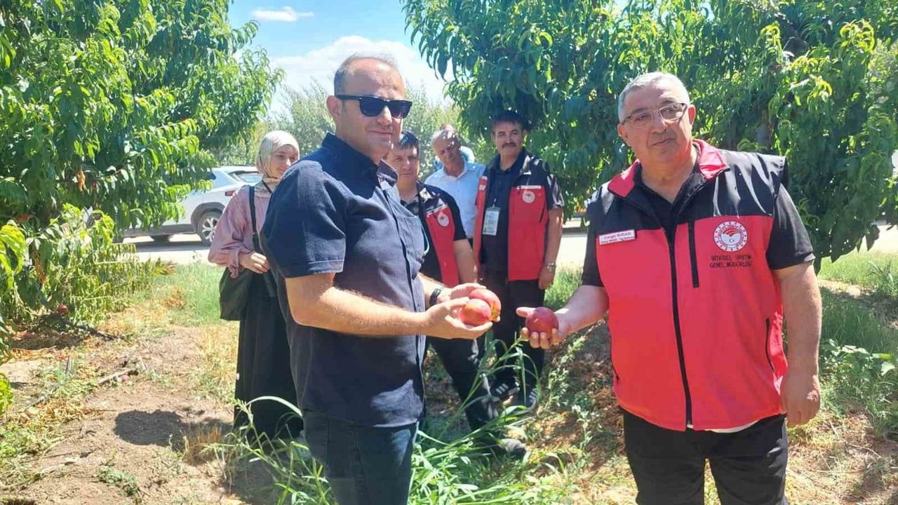 Çanakkale’de bitkisel üretim projeleri değerlendirildi