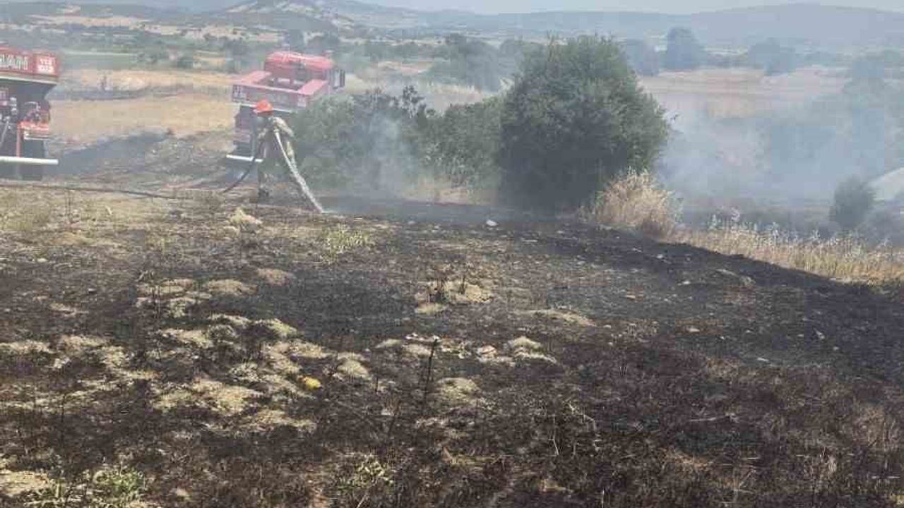 Çanakkale'de çıkan tarım yangını Eceabat'ta yaklaşık 10 dönüm alanı etkiledi