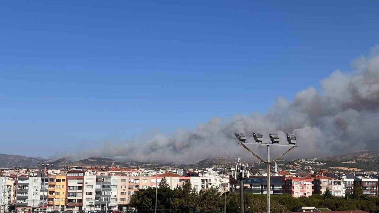 Çanakkale'de orman yangını: hava ve kara ekipleri seferde
