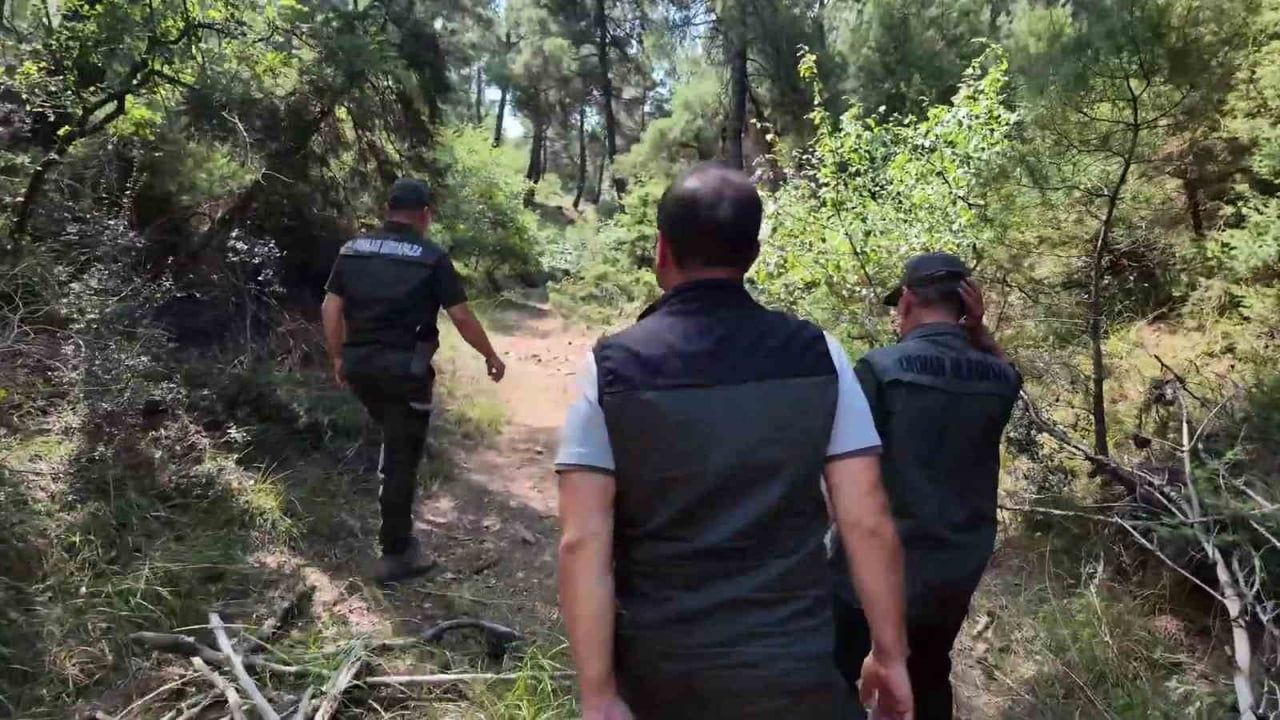 Çanakkale’de orman yangınlarına karşı ekipler sahada