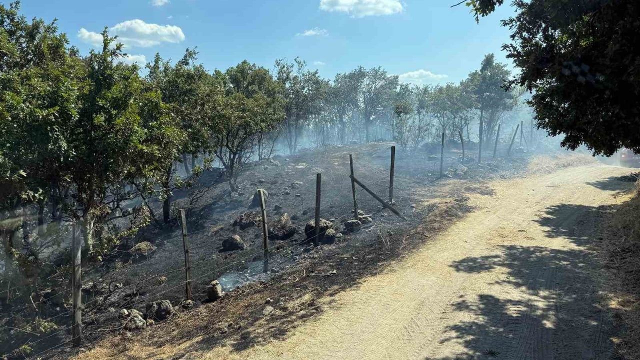 Çanakkale'de tarım arazisinde çıkan yangın kontrol altına alındı