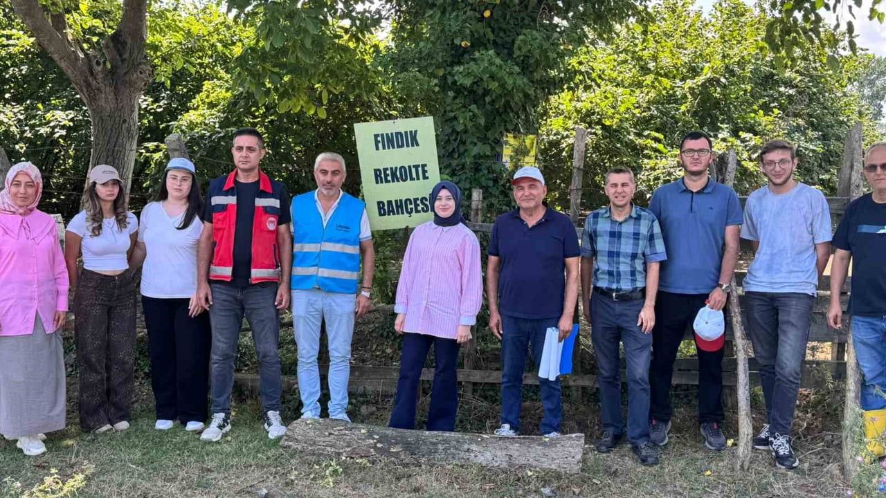 Çarşamba'da iki günlük rekolte sayımı tamamlandı, resmi rakam bekleniyor