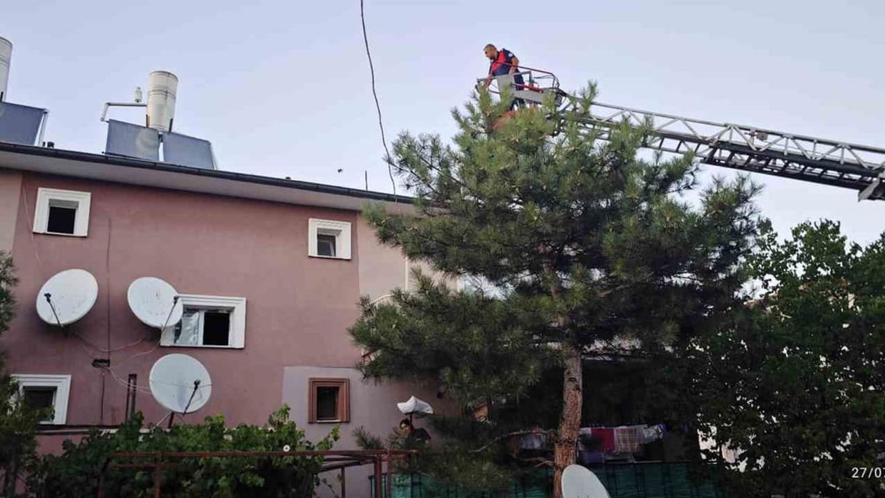 Çatıda mahsur kalan kedinin yardımına itfaiye koştu